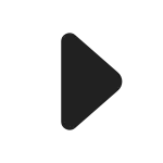 Caret Right SVG Icon